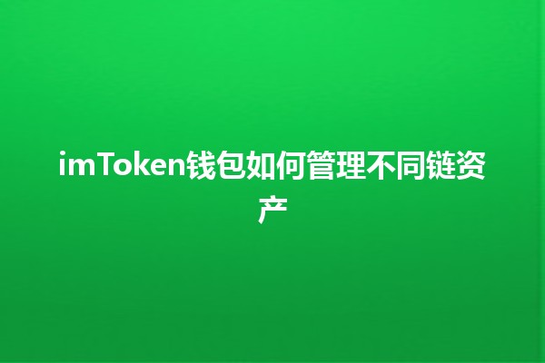 imToken钱包如何管理不同链资产🪙🌐